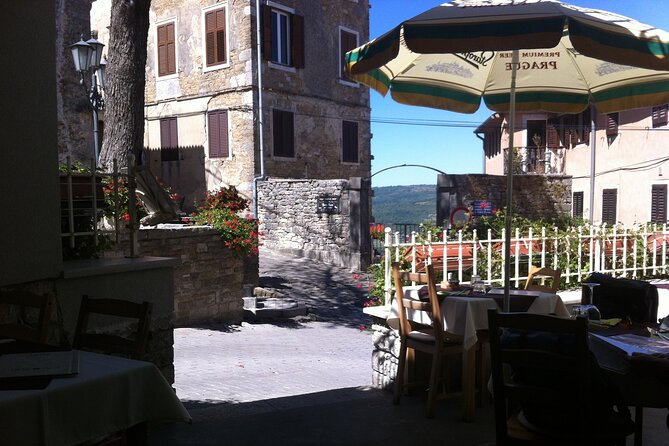 Istria Private Day Trip - The guide-driver experience