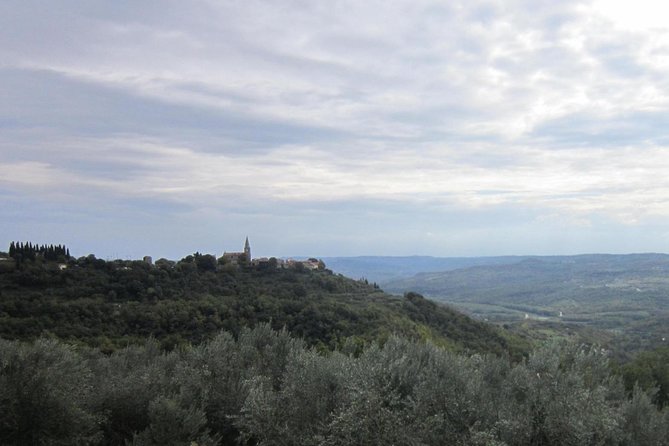 Istrian hill top cities tour with truffle and olive oil tasting - Pazin Abyss: a final dramatic viewpoint
