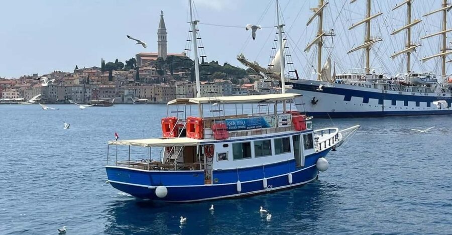 Izlet brodom iz Vrsara: Zalazak sunca i druženje s delfinima - Key points to know before you book