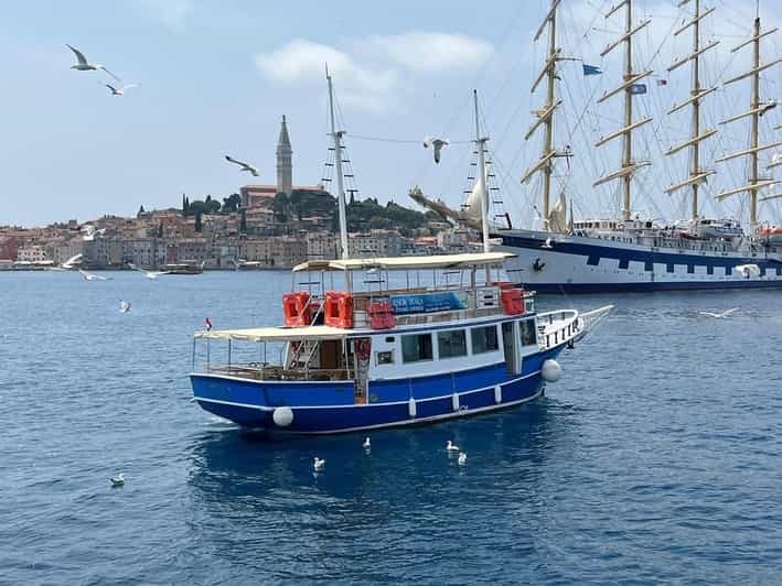 Izlet brodom iz Vrsara: Zalazak sunca i druženje s delfinima - Watching Dolphins Without Expecting a Zoo Show
