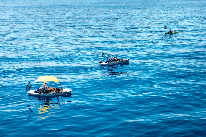 Kanjac Kayak Fishing Cavtat - What this Cavtat fishing trip is really like