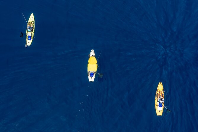 Kanjac Kayak Fishing Cavtat - Reading the Cavtat bays with a fishfinder