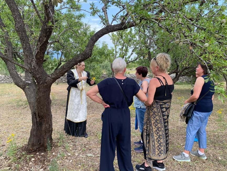Kastela: Wine & Olive Tasting Tour w/Delicacies & Live Music - A family farm above Kaštela Bay