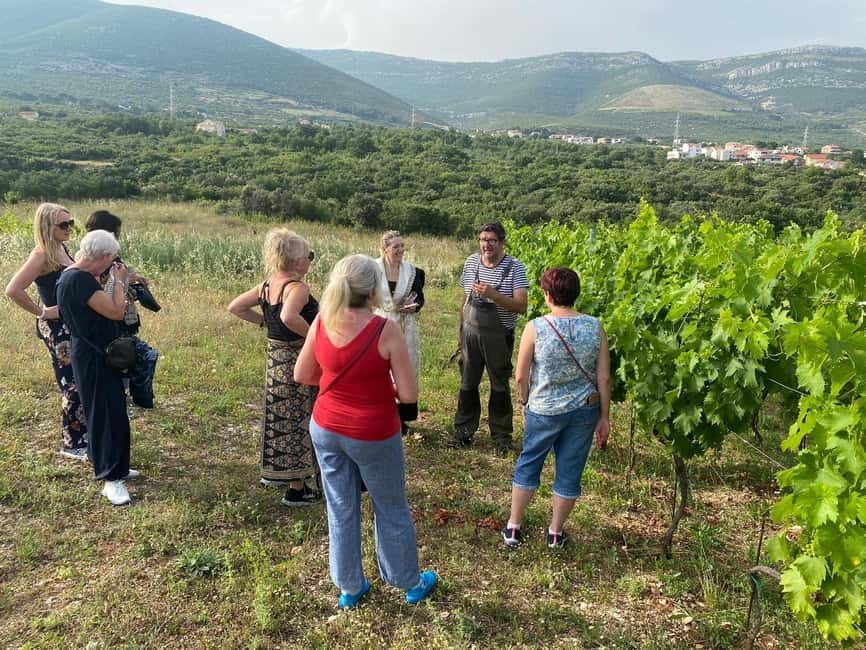 Kastela: Wine & Olive Tasting Tour w/Delicacies & Live Music - Pickup from Trogir or Split Airport