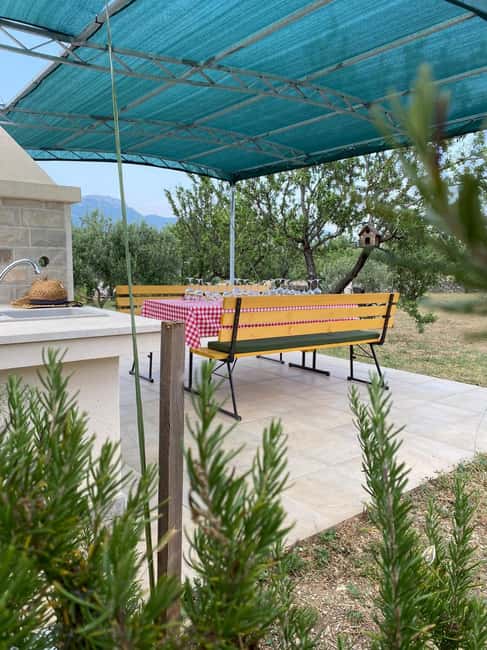 Kastela: Wine & Olive Tasting Tour w/Delicacies & Live Music - Who will enjoy this most