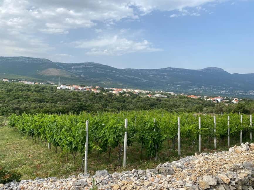 Kastela: Wine & Olive Tasting Tour w/Delicacies & Live Music - Walking through olives, almonds, and wild herbs