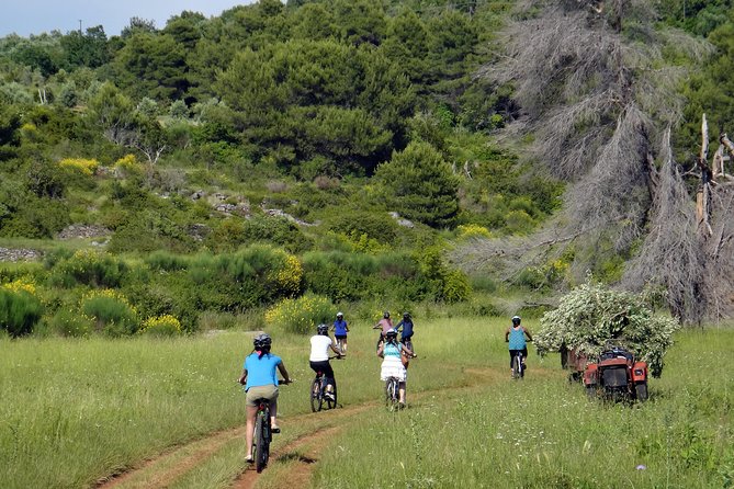 Kayak and Bike Tour to Sipan island from Lopud - Key points at a glance