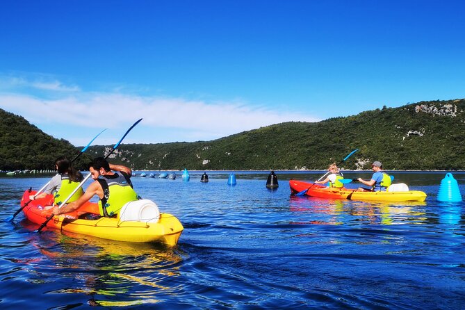 Kayaking Experience in Lim Bay Sea in The Croatian Fjord - Is the $65.90 price good value?