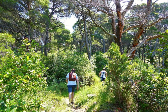 Kolocep Island Hiking and Swimming Full Day Trip from Dubrovnik - A family-run restaurant near the beach