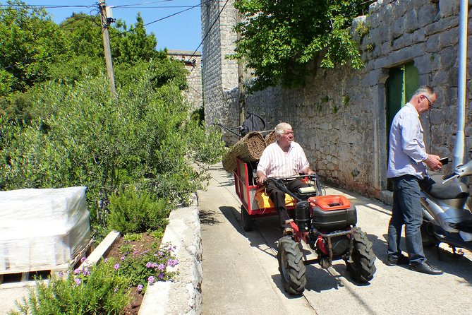 Kolocep Island Hiking and Swimming Full Day Trip from Dubrovnik - The final walk back to the ferry