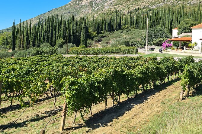 Konavle Gastro & Culture Tour (Private Tour) - Guides Make the Difference