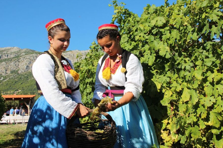 Konavle Valley: Private Half-Day Tour with Wine Tasting - Key points to know before you book