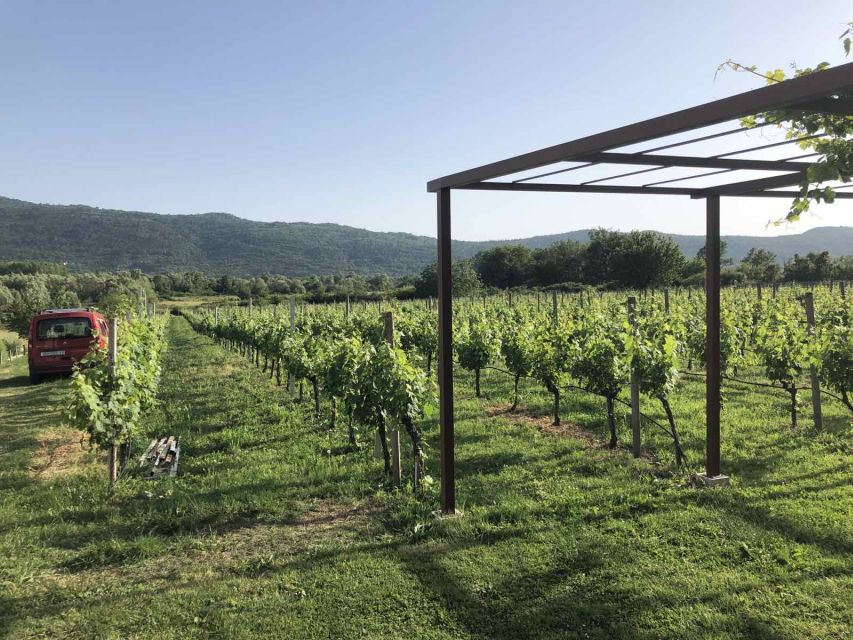 Konavle Valley: Private Half-Day Tour with Wine Tasting - Cavtat adds a seaside change of pace