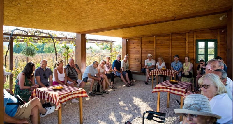 Konavle Valley: Tour with Wine Tasting from Dubrovnik - The Little Train Through the Vineyards