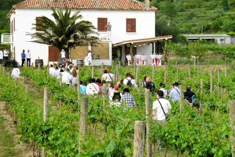 Konavle Valley: Tour with Wine Tasting from Dubrovnik - The Bus Ride Into Rural Dalmatia
