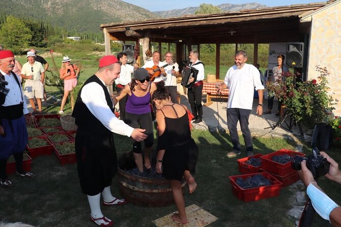 Konavle wine tasting tour from Dubrovnik with 2 vinery's - Mlini adds a relaxed two-hour finish