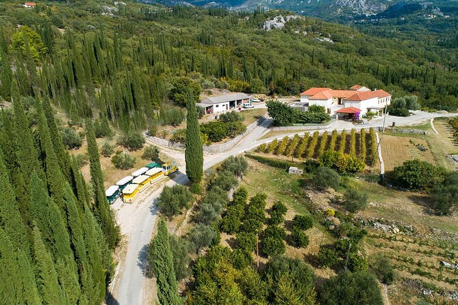 Konavle wine tasting tour from Dubrovnik with 2 vinery's - Price, group size, and the real value