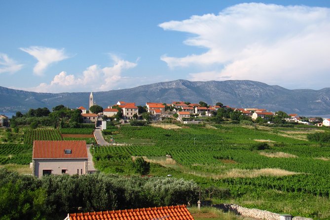Korcula Bike & Wine Tour | Wine Tasting in Lumbarda - The return to Korcula after the tasting