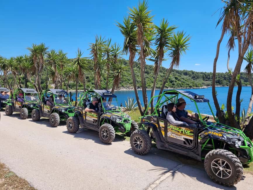 Korcula: Buggy Safari with Local Food and Wine Tasting - The vineyard stop and Korcula’s Grk wine