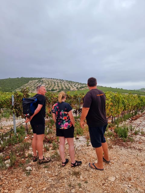 Korcula: Buggy Safari with Local Food and Wine Tasting - A sandy beach break in Lumbarda