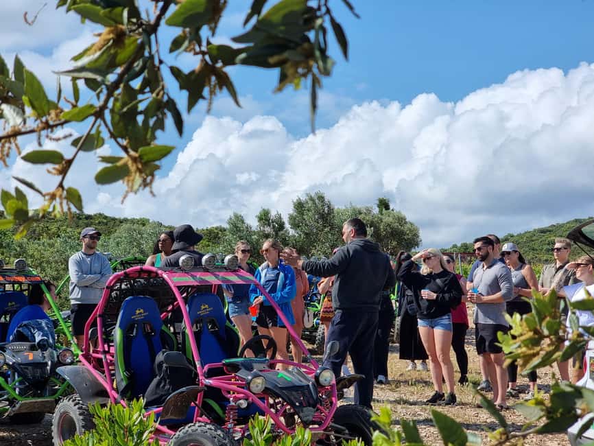 Korcula: Buggy Safari with Local Food and Wine Tasting - Homemade food at the family property