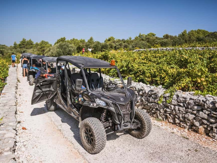 Korcula Buggy Safari With Wine Tasting - Key points to know before you book
