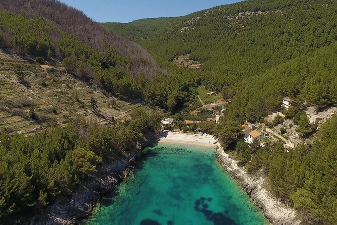 Korcula Island Mountain E Bike Private tour with lunch - The winery, wine tasting, and three-course lunch