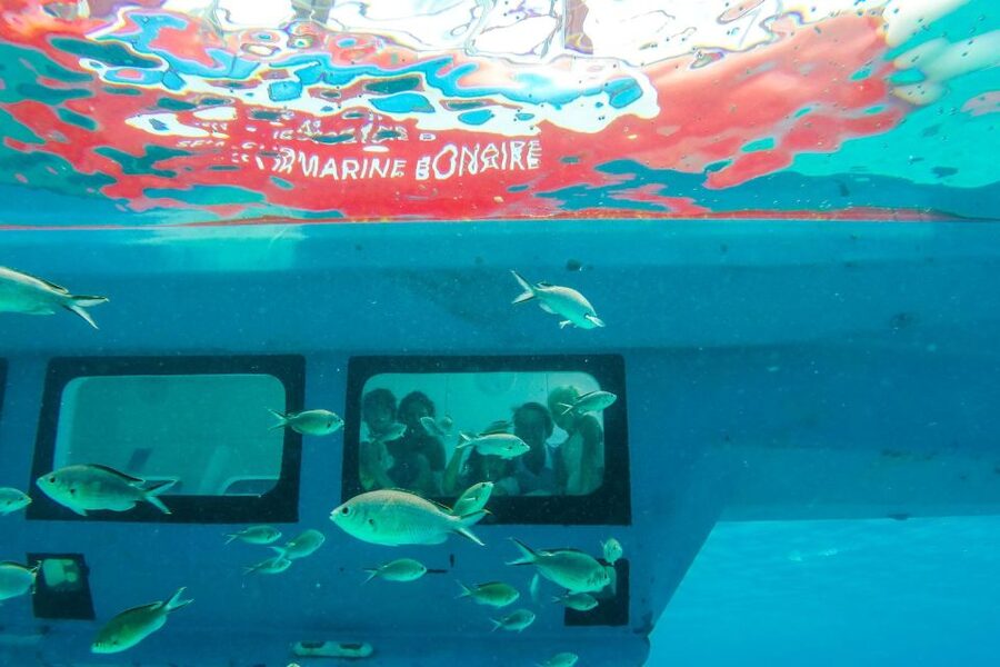 Korcula: Semi-Submarine Tour - Timing, Flexibility, and Practical Planning