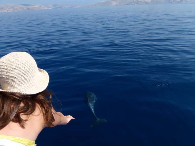 Krk:Rab & Pag Boat Trip with Swimming & City Tour with lunch - Key points at a glance