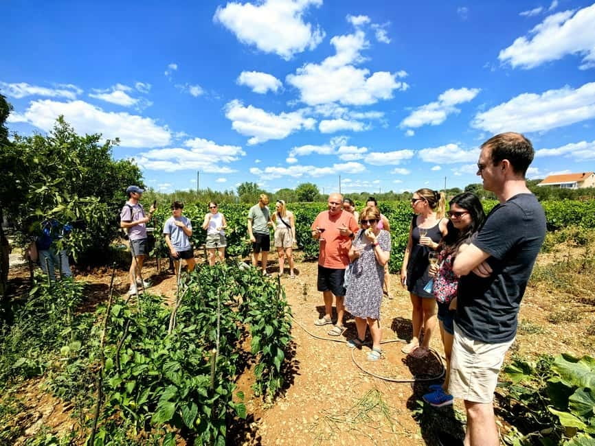 Krka waterfalls tour with lunch from Split - What the $53 price really includes