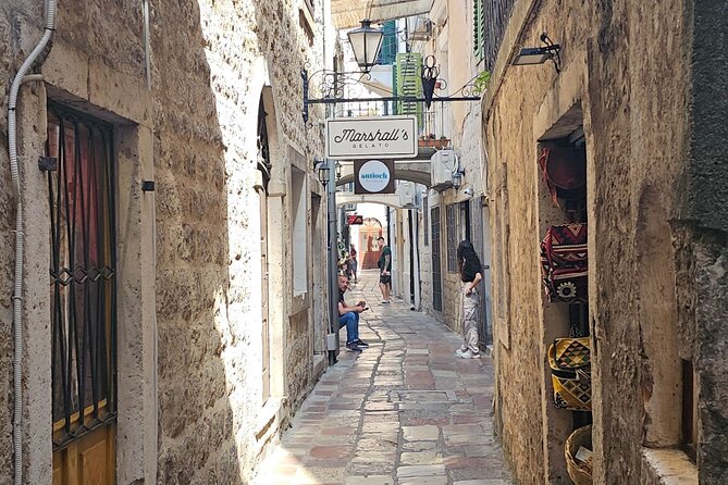 Luxury Day tour to Montenegro - Vehicle comfort and what is included