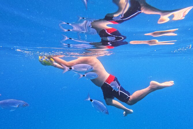 Makarska: 3-Island Speedboat Tour with Cave and Blue Lagoon - Pokrivenik and the small blue cave