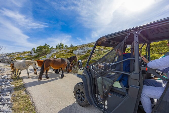 Makarska: Baggy Skywalk & Biokovo viewpoint Tour - The Sinjal viewpoint and the short mountain walk