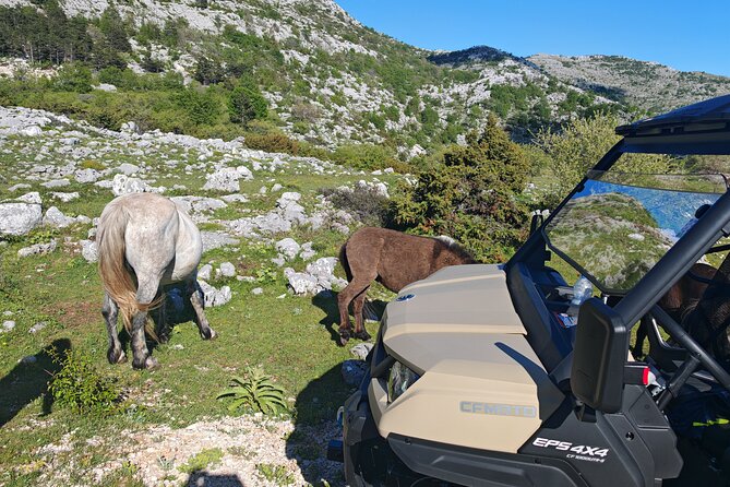 Makarska: Baggy Skywalk & Biokovo viewpoint Tour - The Biokovo Skywalk at 1,228 meters