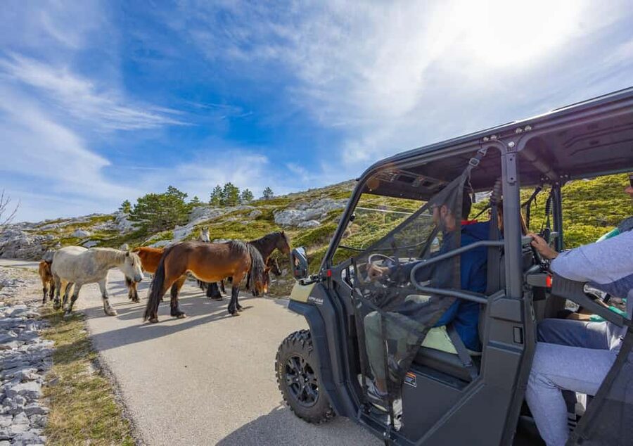 Makarska: Buggy Skywalk and Biokovo Tour - Scenic stops, animals, and the mountain road