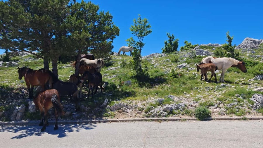 Makarska: Buggy Skywalk and Biokovo Tour - Sinjal, the high point that deserves your time