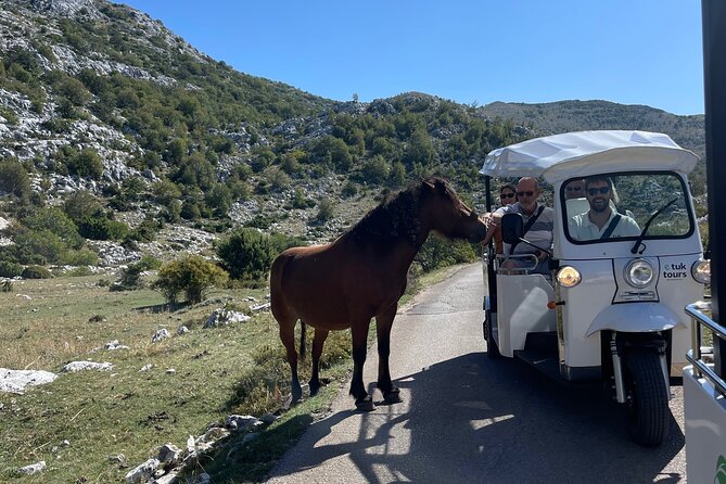 Makarska: Skywalk Tour with a Tuk Tuk - Skip the line ticket - The return ride and the real value of the excursion