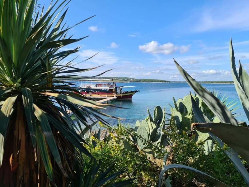 Medulin: Boat Cruise to Kamenjak/Ceja with Lunch and Drinks - The return cruise to Medulin