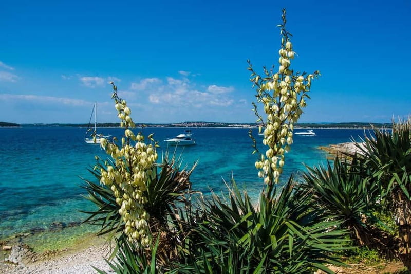 Medulin: Boat Cruise to Kamenjak/Ceja with Lunch and Drinks - One hour toward Cape Kamenjak