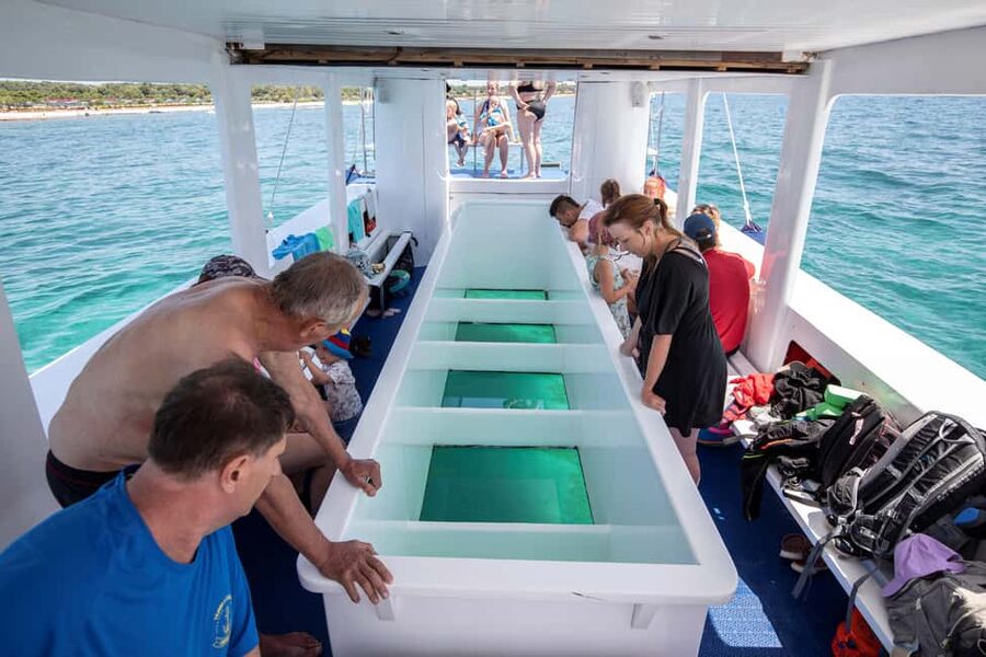 Medulin: Glass Boat Tour Experience to Kamenjak with Mermaid - What this Medulin boat tour is really like
