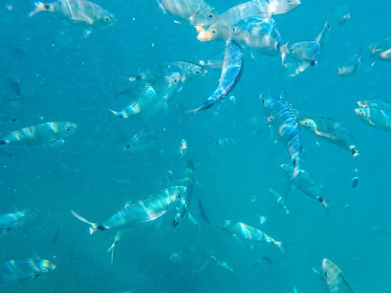 Medulin: Glass Boat Tour Experience to Kamenjak with Mermaid - Entering Golumber Cave at Kamenjak