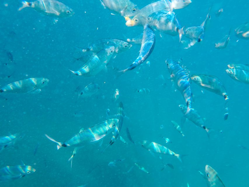 Medulin: Private Boat Tour with Captain - Porer Lighthouse and the smaller islands