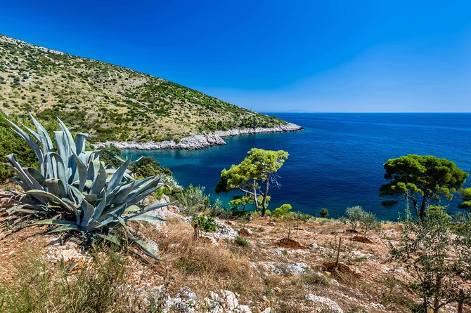 Mesmerizing Hvar speed boat tour with optional wine tasting - Green Lagoon, snorkeling, and fish