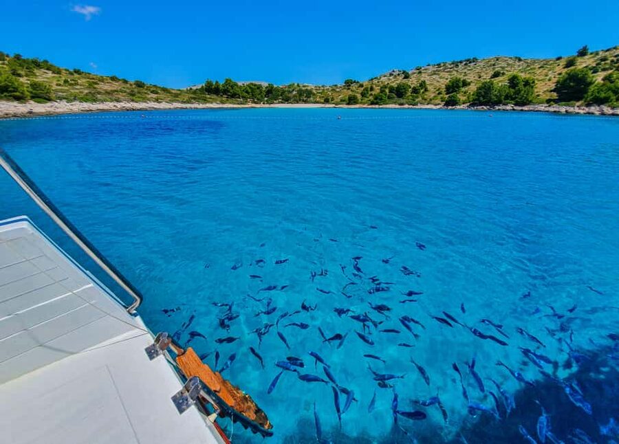 Mikado Kornati Excursion - The Main Strengths and Weak Spots