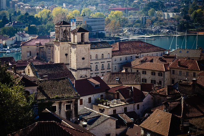 Montenegro Full-Day Trip from Dubrovnik with Optional Boat Trip - Who should book this tour?