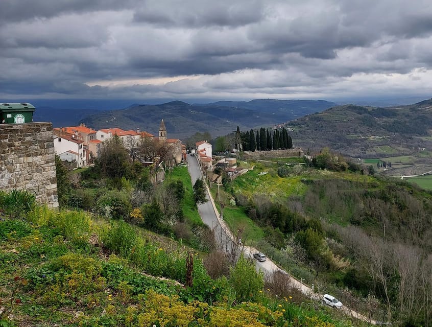 Motovun: The trail of Giants hiking tour & Fritule Tasting - Who will enjoy this Motovun hike most
