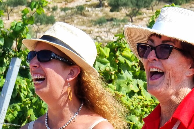 (Official) Korcula Buggy: Our History, Food & Wine (Ana & Branko) - Lumbarda vineyards and the Grk grape
