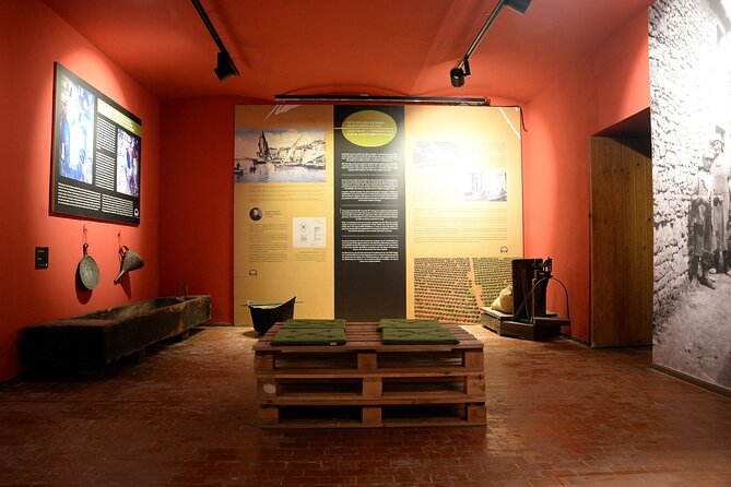 Olive Oil Guided Tasting and History in Pula - Entering the exhibition at Istarska ul. 30