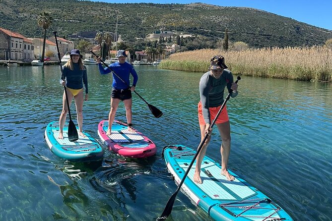 Ombla river Paddleboarding tour in Dubrovnik with snacks - Getting started at 3:30 pm in Komolac