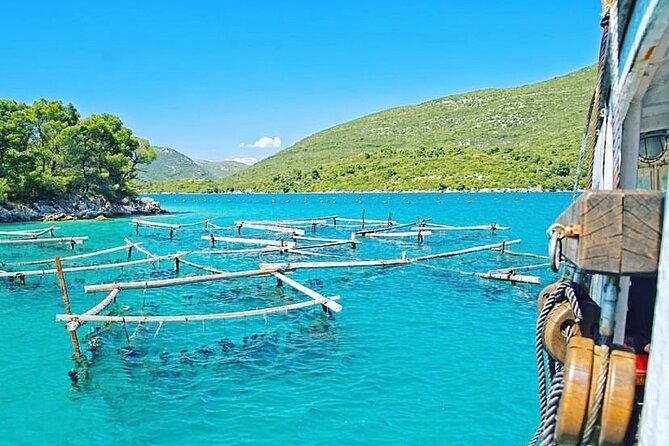 Oyster farm experience / Private day trip from Dubrovnik - Key points to know before booking